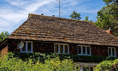 Tile-roofed cottage set behind mature hedging